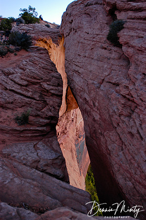 Utah