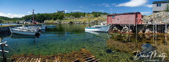 New Bonaventure, Newfoundland, Canada