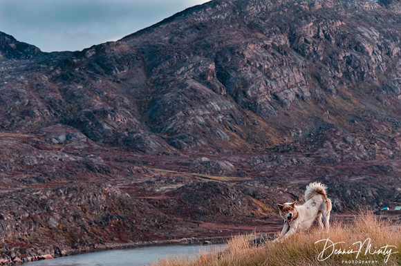 Sisimiut