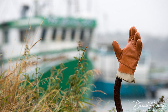 Rainy Day, Conche, Newfoundland