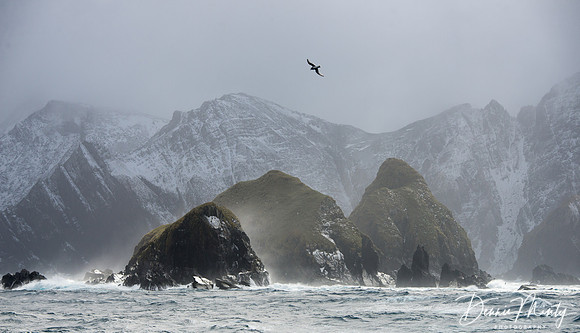 King Haakon Bay, South Georgia Island