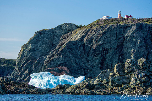 Long Point, Twillingate