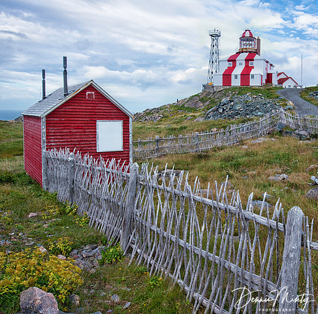 Cape Bonavista