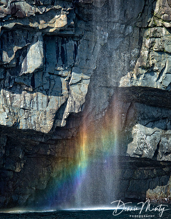 Waterfall Rainbow, Bay Bulls
