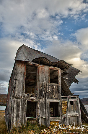 Windblown, Hebron, Labrador, Canada