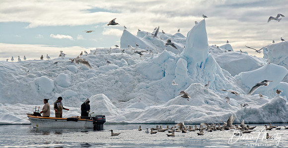 Disko Bay