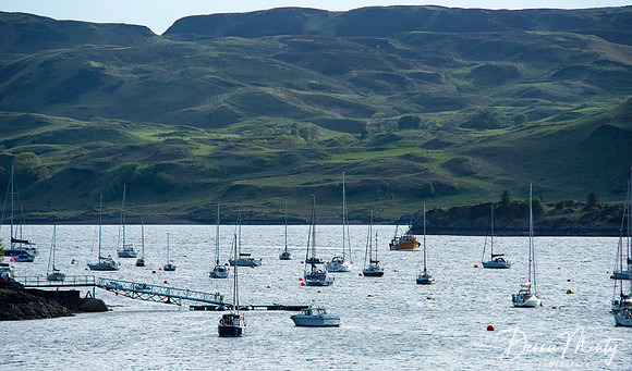 Minty_20130602_150913_orig
