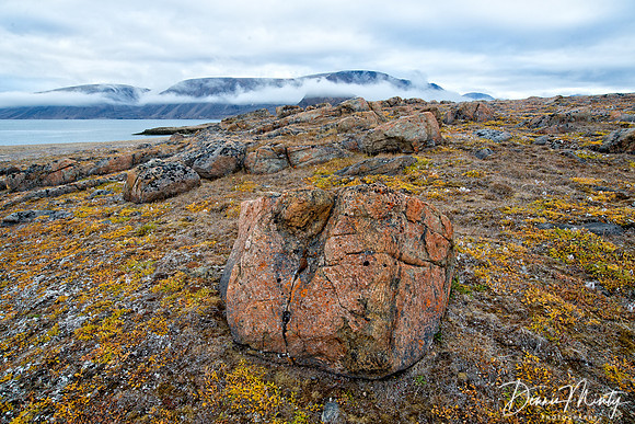 Tundra Colour, Dundas Harbour, Devon Island, Nunavut