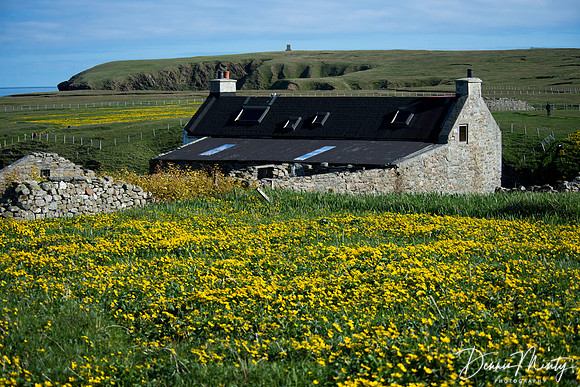 Foula, Shetland Islands, Scotland