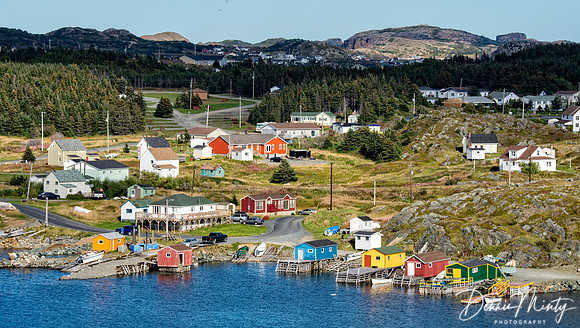 Back Harbour, Twillingate