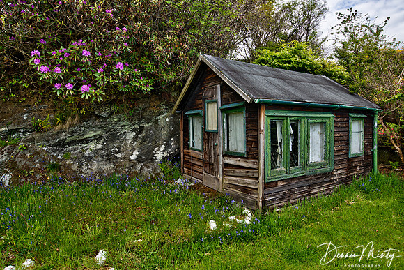 Minty_20130603_135157_orig-3-HDR