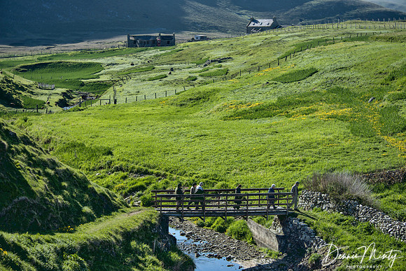 Foula, Shetland Islands, Scotland
