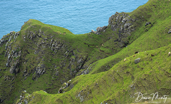 St. Kilda, Western Isles, Scotland