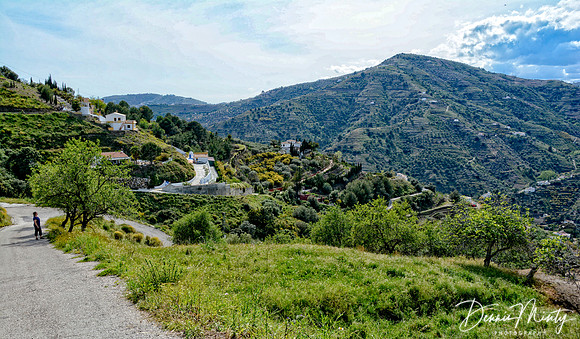 Near Frigiliana