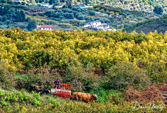 Frigiliana