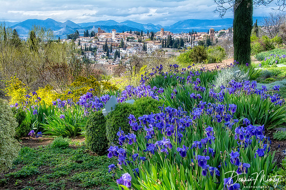 Alhambra