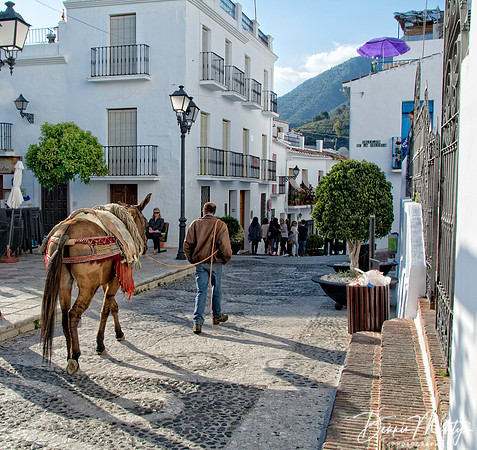 Frigiliana