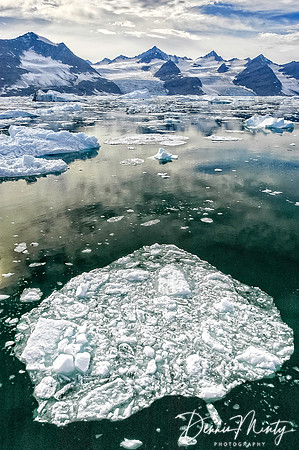 Nansen Fjord, east Greenland