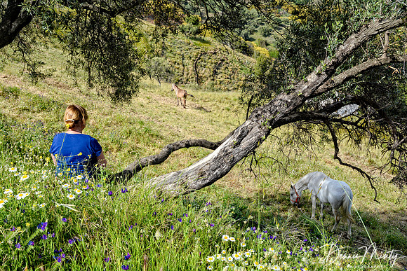 Near Frigiliana