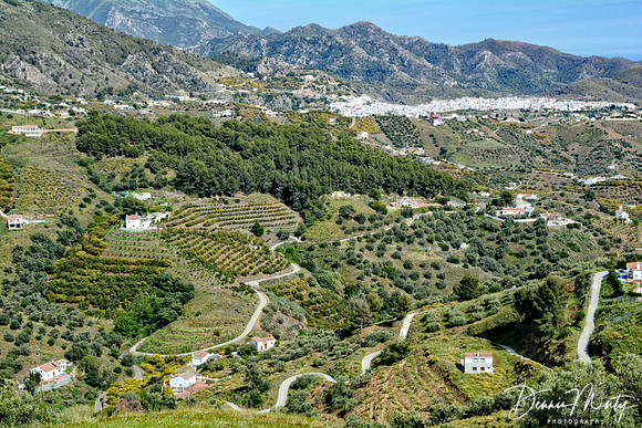 Near Frigiliana
