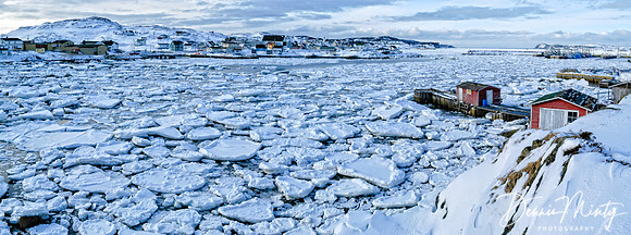 March Ice, Twillingate