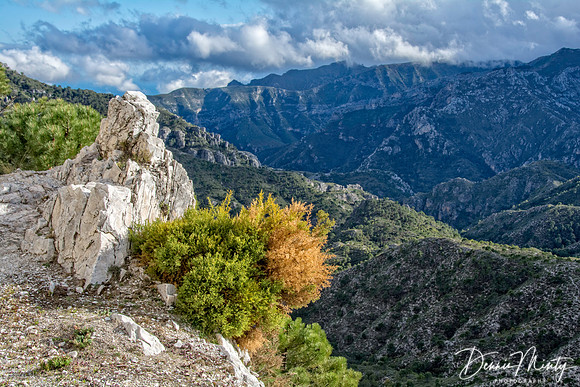 Sierra Nevadas