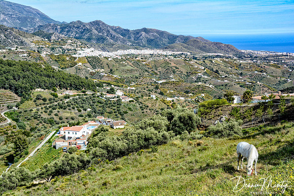 Near Frigiliana