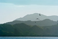 Kohukoho area, Northland, New Zealand