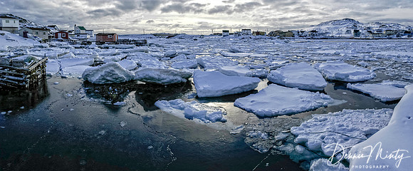 March Ice, Twillingate, Newfoundland