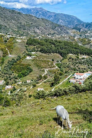 Near Frigiliana