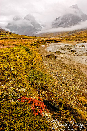 Skjoldungen Fjord, southeast Greenland