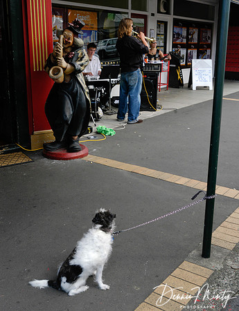 Street Scene, Aukland, New Zealand