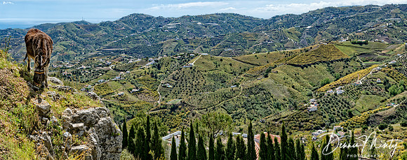 Frigiliana