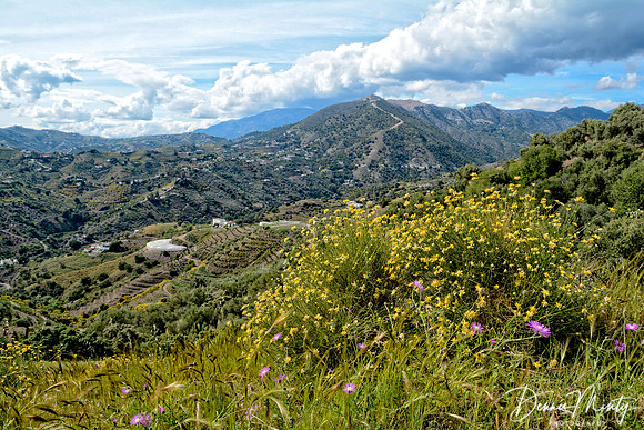 Near Frigiliana