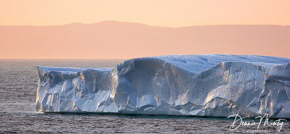 Iceberg at Dawn, Bay de Grave