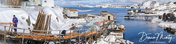 "Peeling Longers", Durrell, Twillingate, Newfoundland, Canada