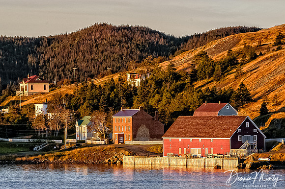 Trinity, Newfoundland