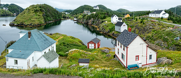 Herring Neck