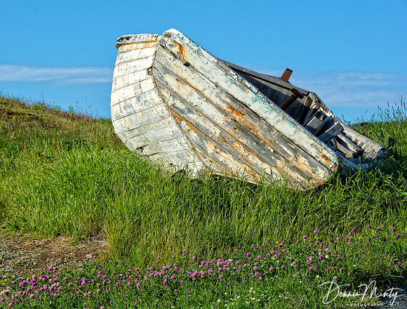 Twillingate