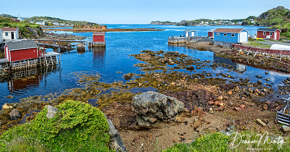 Twillingate