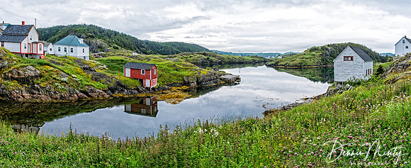 Herring Neck