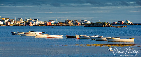 Fine Morning in Joe Batt's Arm, Fogo Island, Newfoundland