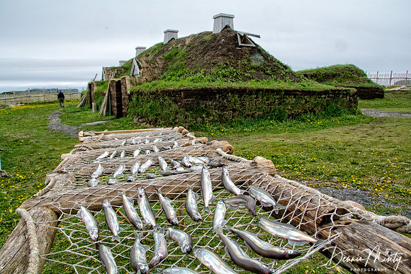 L'Anse aux Meadows