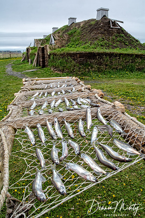 L'Anse aux Meadows