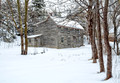 Abandoned Homestead, Whelan Family, Colliers.