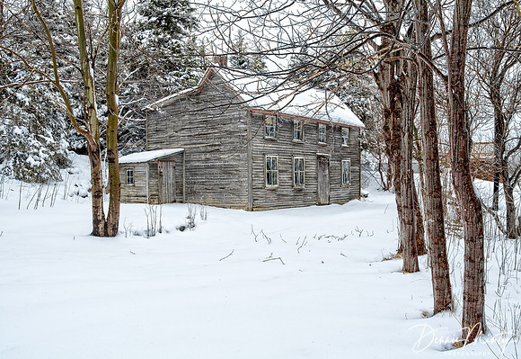 Abandoned Homestead, Whelan Family, Colliers.