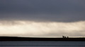Mother and Cubs, Polar Bear, Coningham Bay, Prince of Wales Island