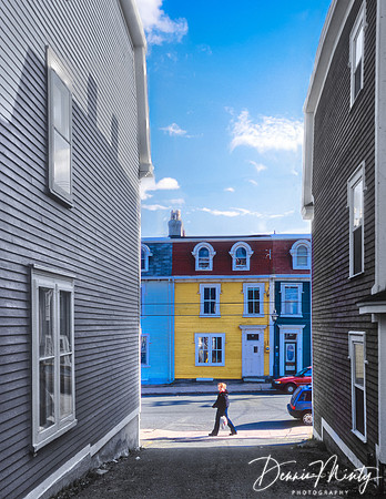Springish, Gower St., St. John's, Newfoundland