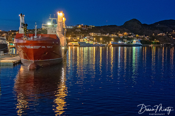 Evening in St.John's Harbour