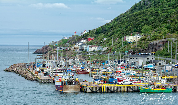 Small Craft Basin, St. John's Harbour